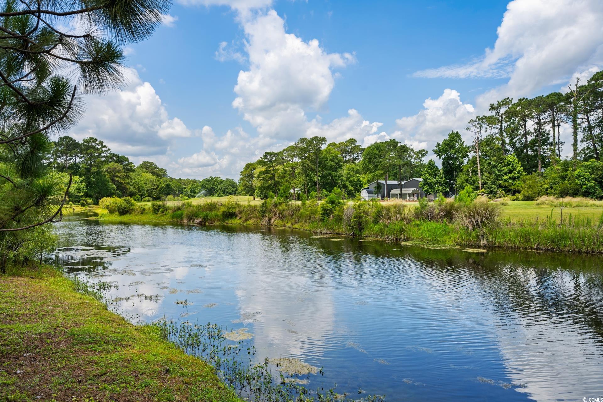 144 Springfield Road Pawleys Island, SC 29585 - Photo 29 of 36 Water view