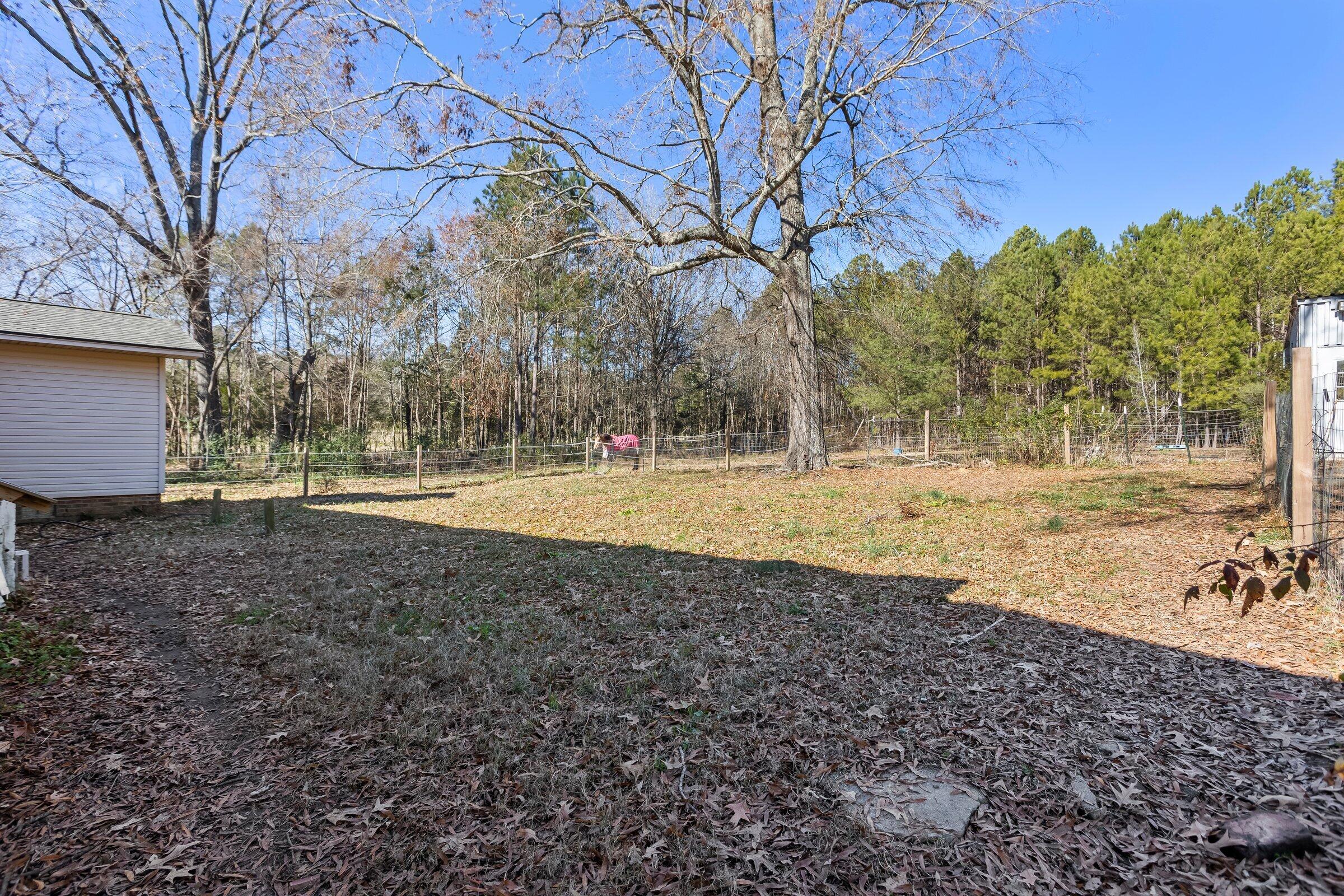 1723 Butler Road Saluda, SC 29138 - Photo 26 of 28