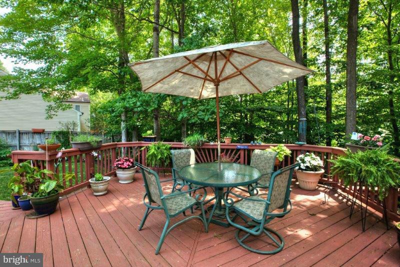 9308 Brian Run Lane Springfield, VA 22153 - Photo 28 of 30 Exterior (Rear)