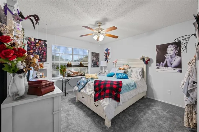 a living room with furniture flowerpot and a chandelier