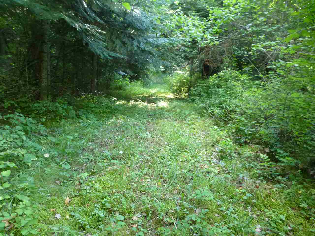 3100 A Farm To Market Road Valley, WA 99181 - Photo 17 of 18