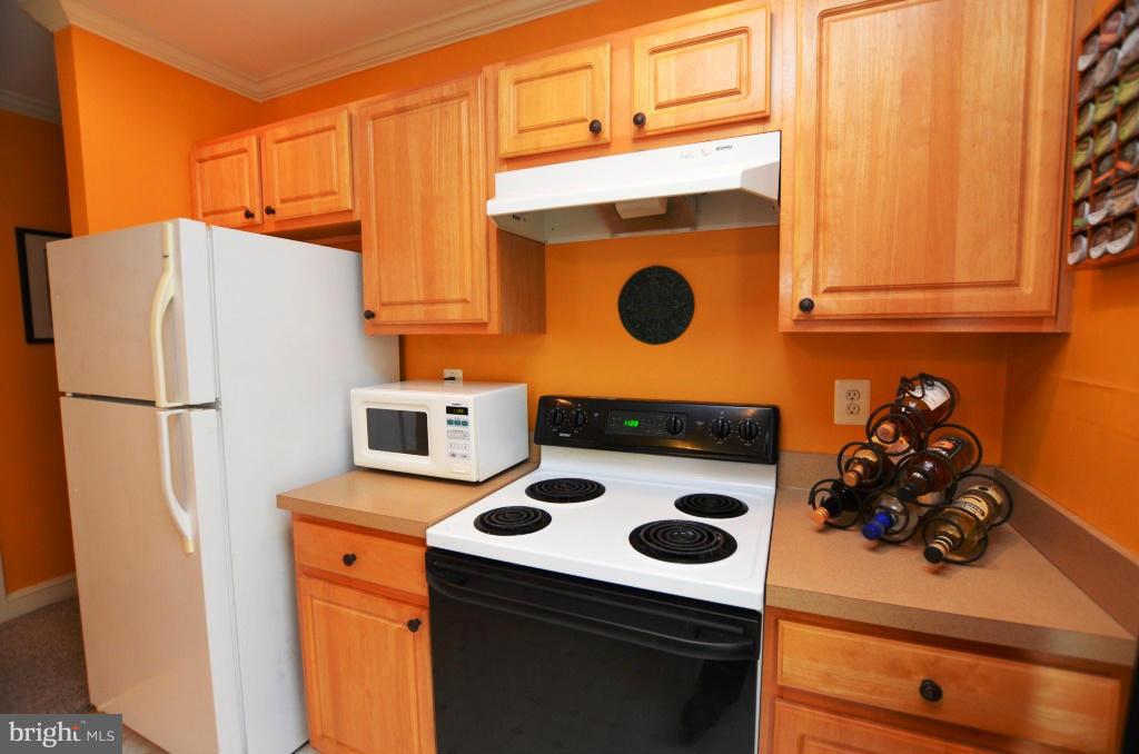 104 Dry Mill Road Southwest, Unit 203 Leesburg, VA 20175 - Photo 11 of 19 Kitchen
