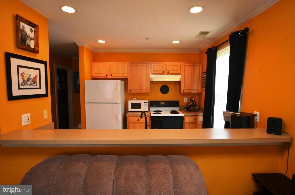 104 Dry Mill Road Southwest, Unit 203 Leesburg, VA 20175 - Photo 7 of 19 Kitchen