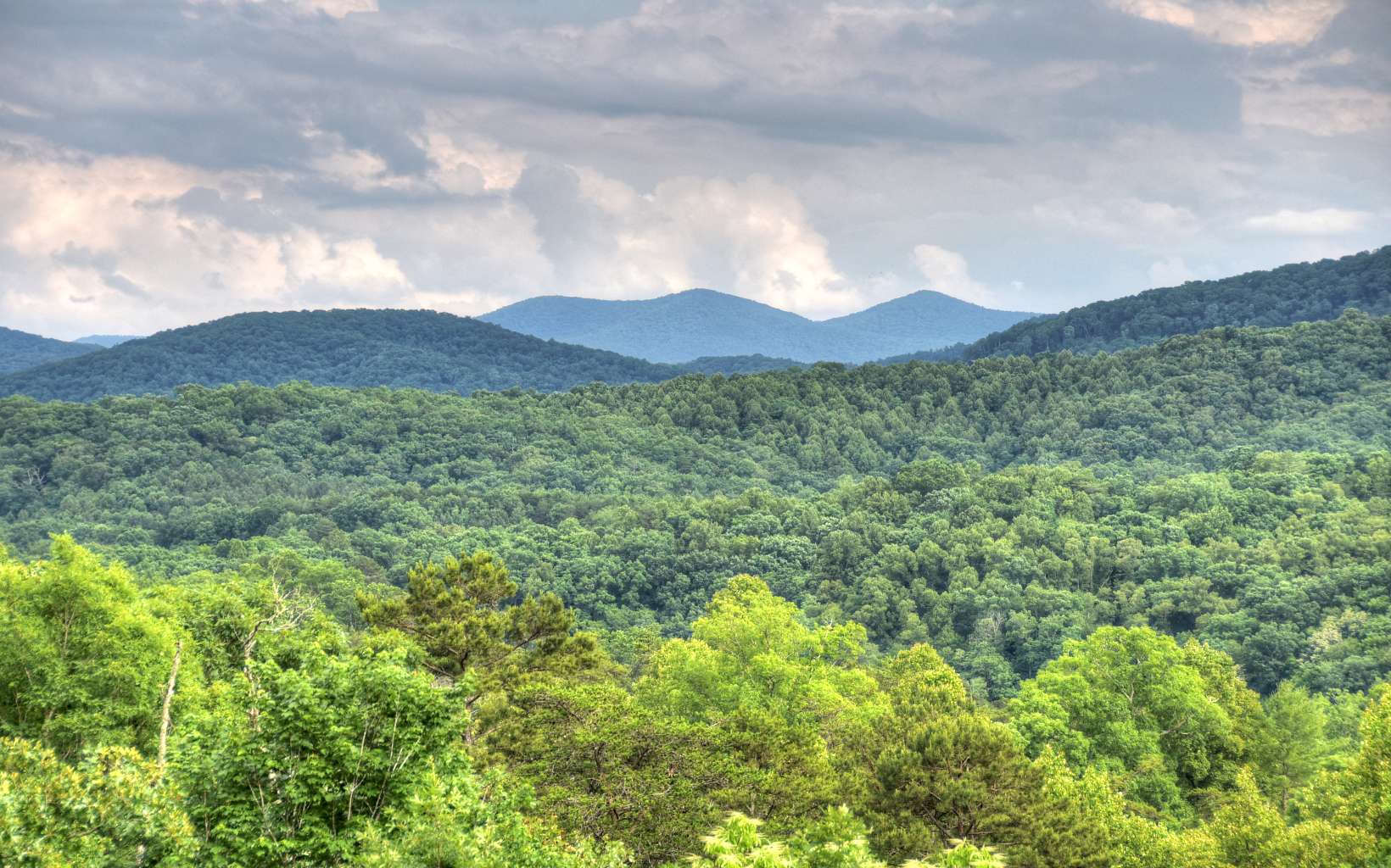 186 Carlie Trail Blue Ridge, GA 30513 - Photo 1 of 1 a view of an lush green mountain