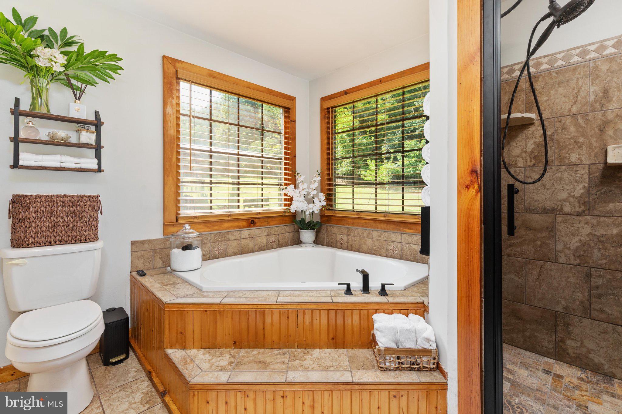 1396 Cullers Run Road Mathias, WV 26812 - Photo 37 of 79 Serene bathroom with natural light and charm.