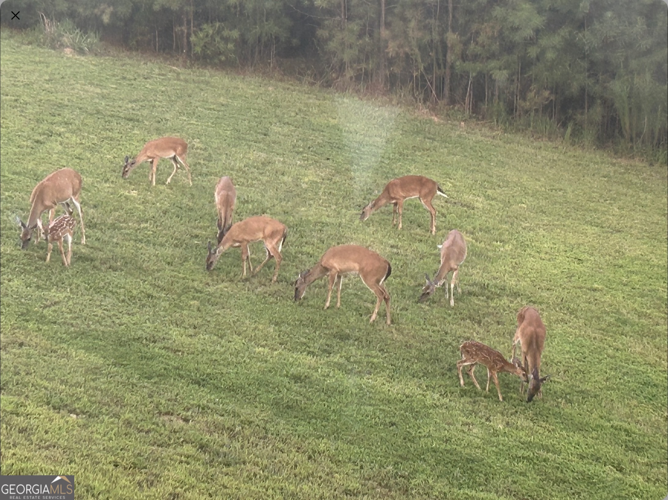 1424 Ridge Pointe Way Blairsville, GA 30512 - Photo 15 of 23