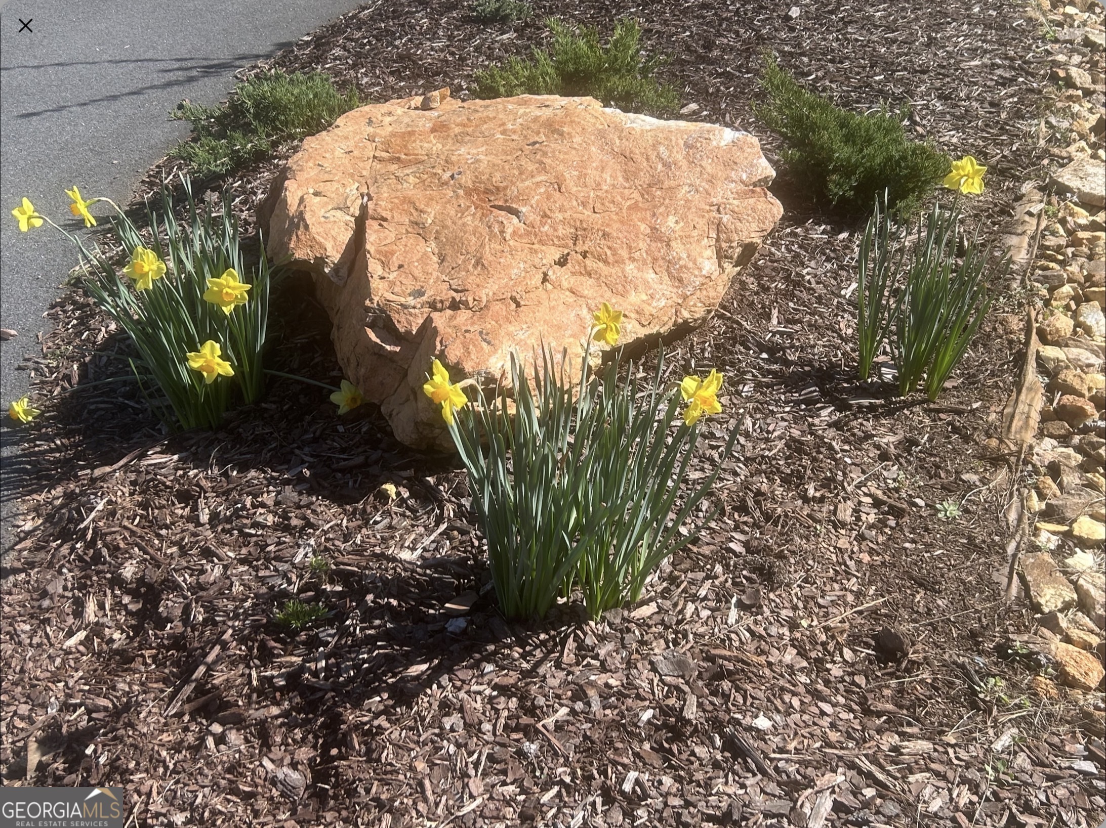 1424 Ridge Pointe Way Blairsville, GA 30512 - Photo 16 of 23