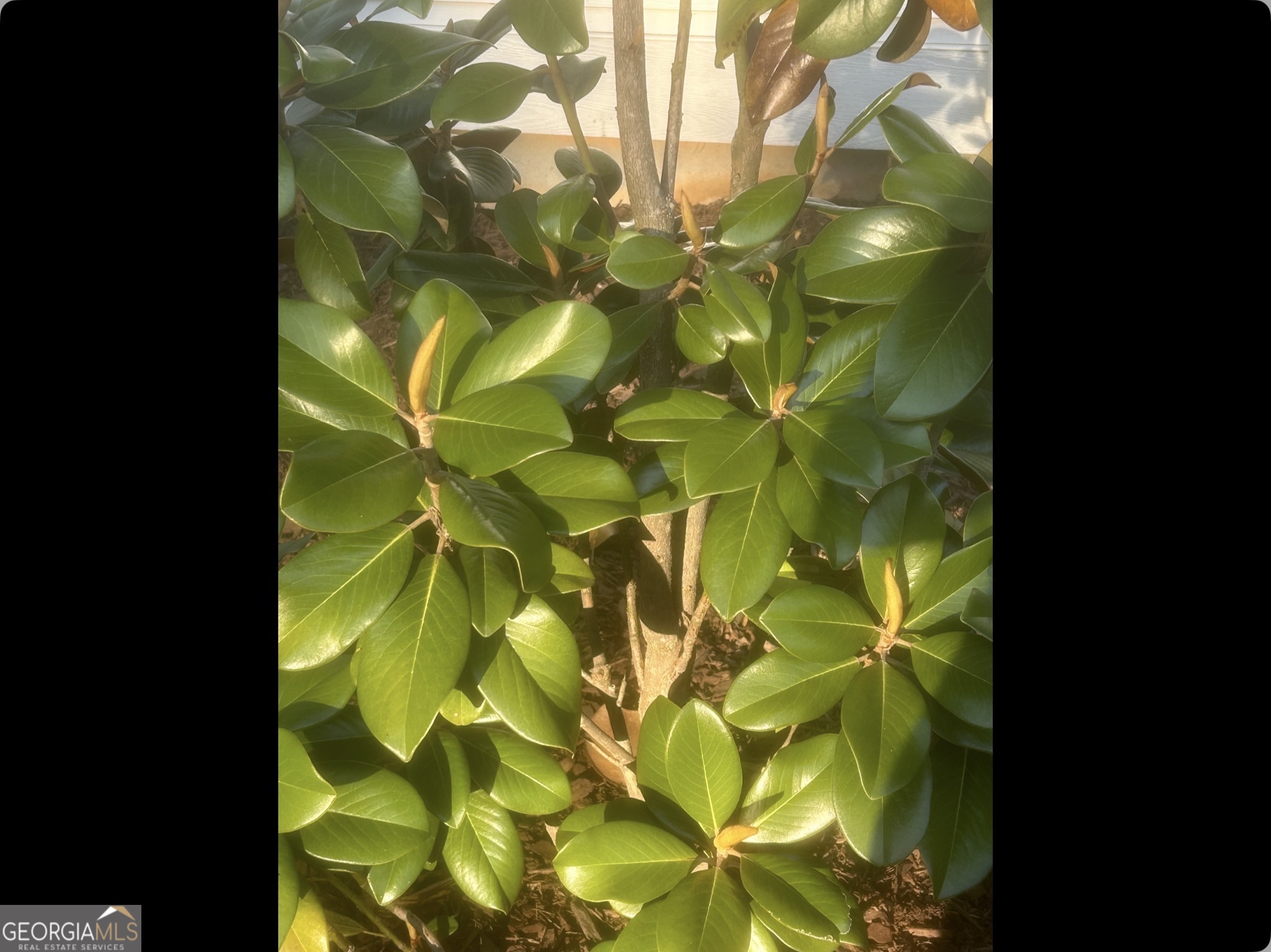 1424 Ridge Pointe Way Blairsville, GA 30512 - Photo 17 of 23