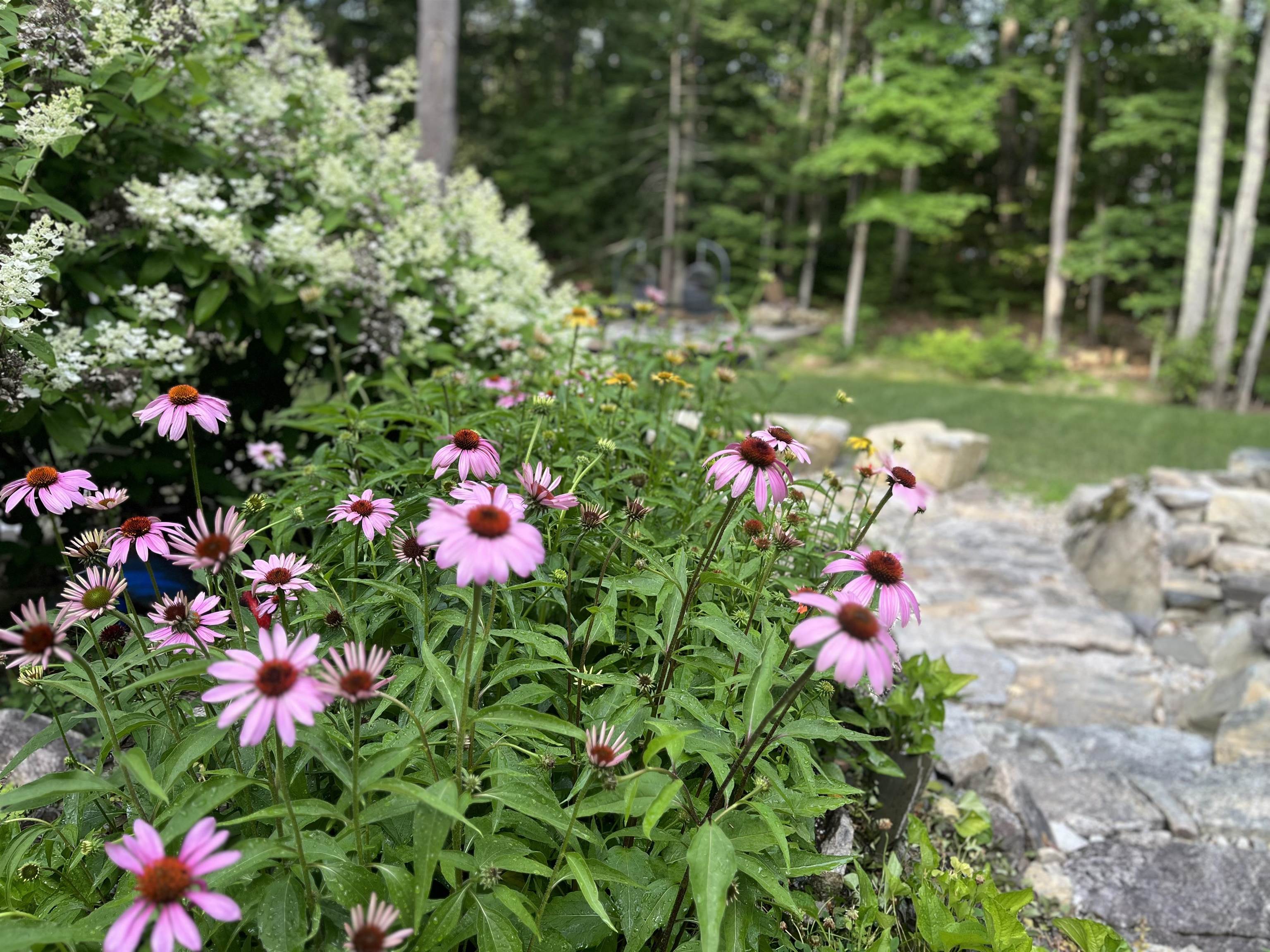 56 Kings Pine Road Wolfeboro, NH 03894 - Photo 29 of 30