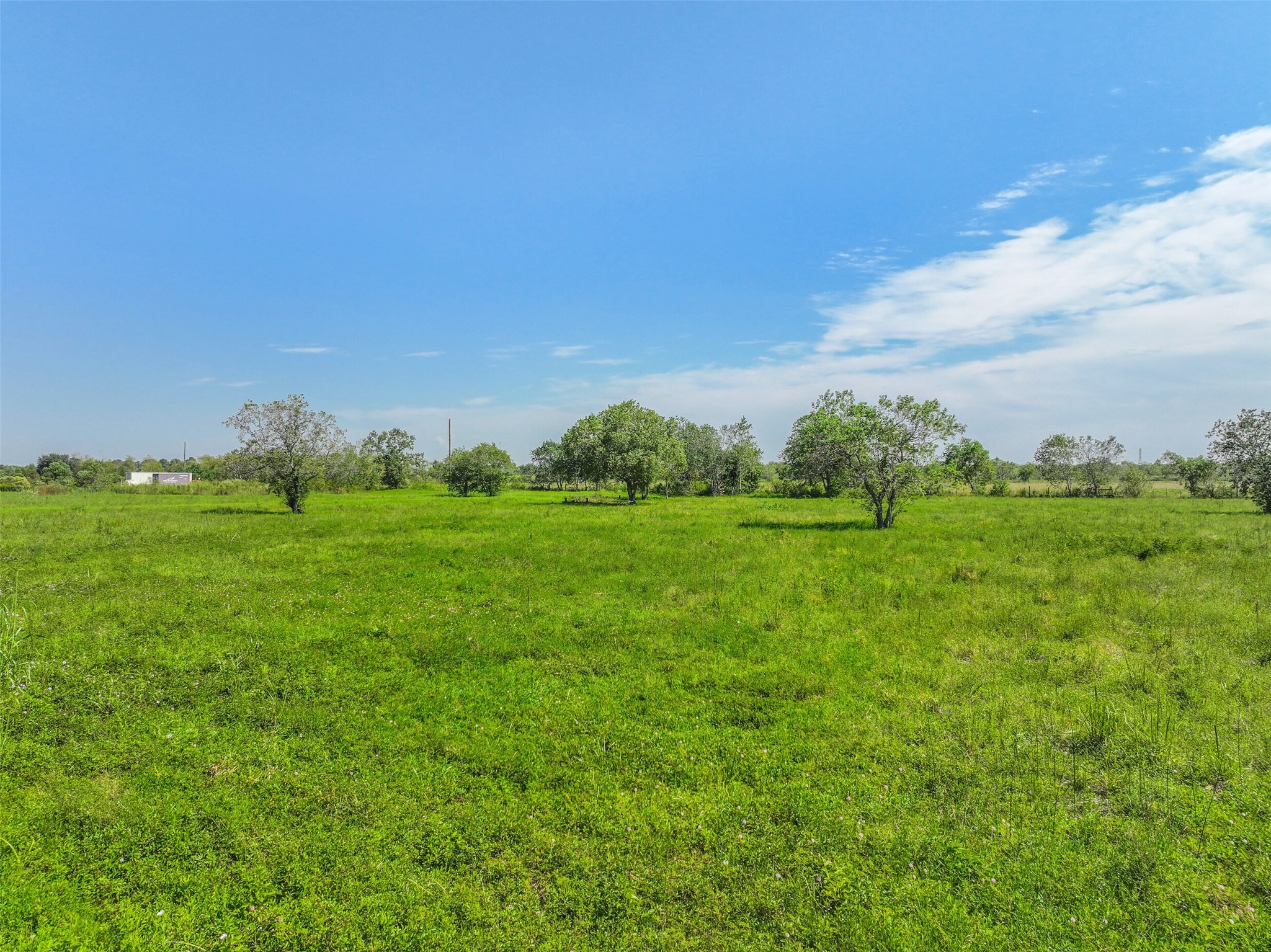 11715 County Road 48 Rosharon, TX 77583 - Photo 10 of 11 a yard with lots of green space