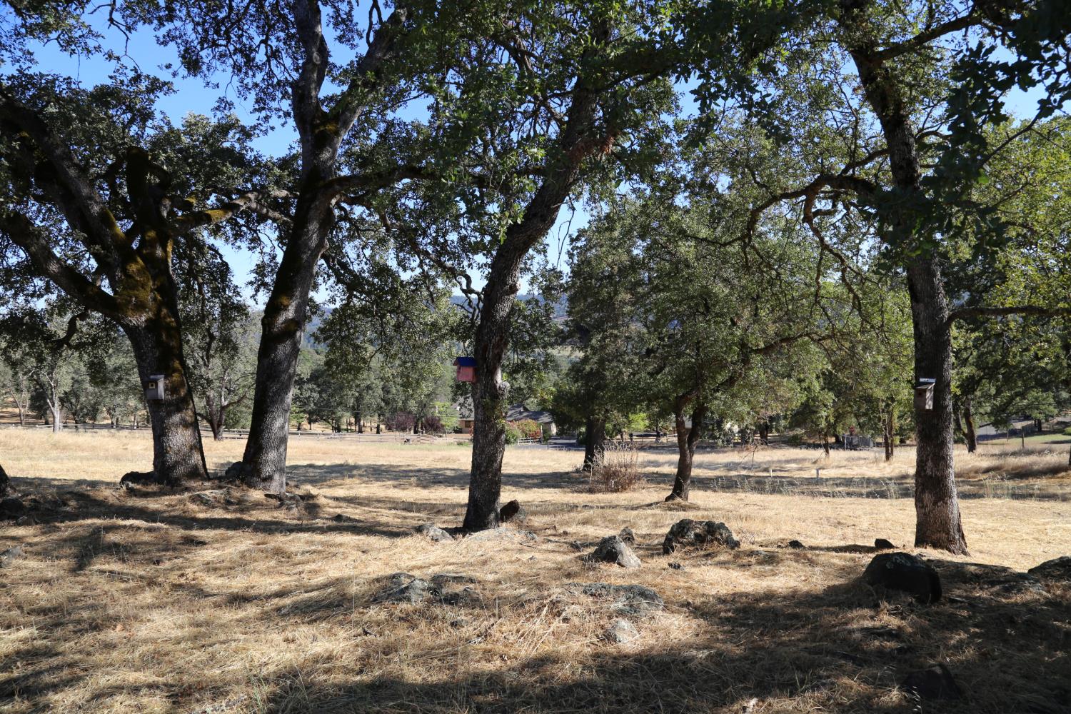 3791 Luneman Road Placerville, CA 95667 - Photo 55 of 66