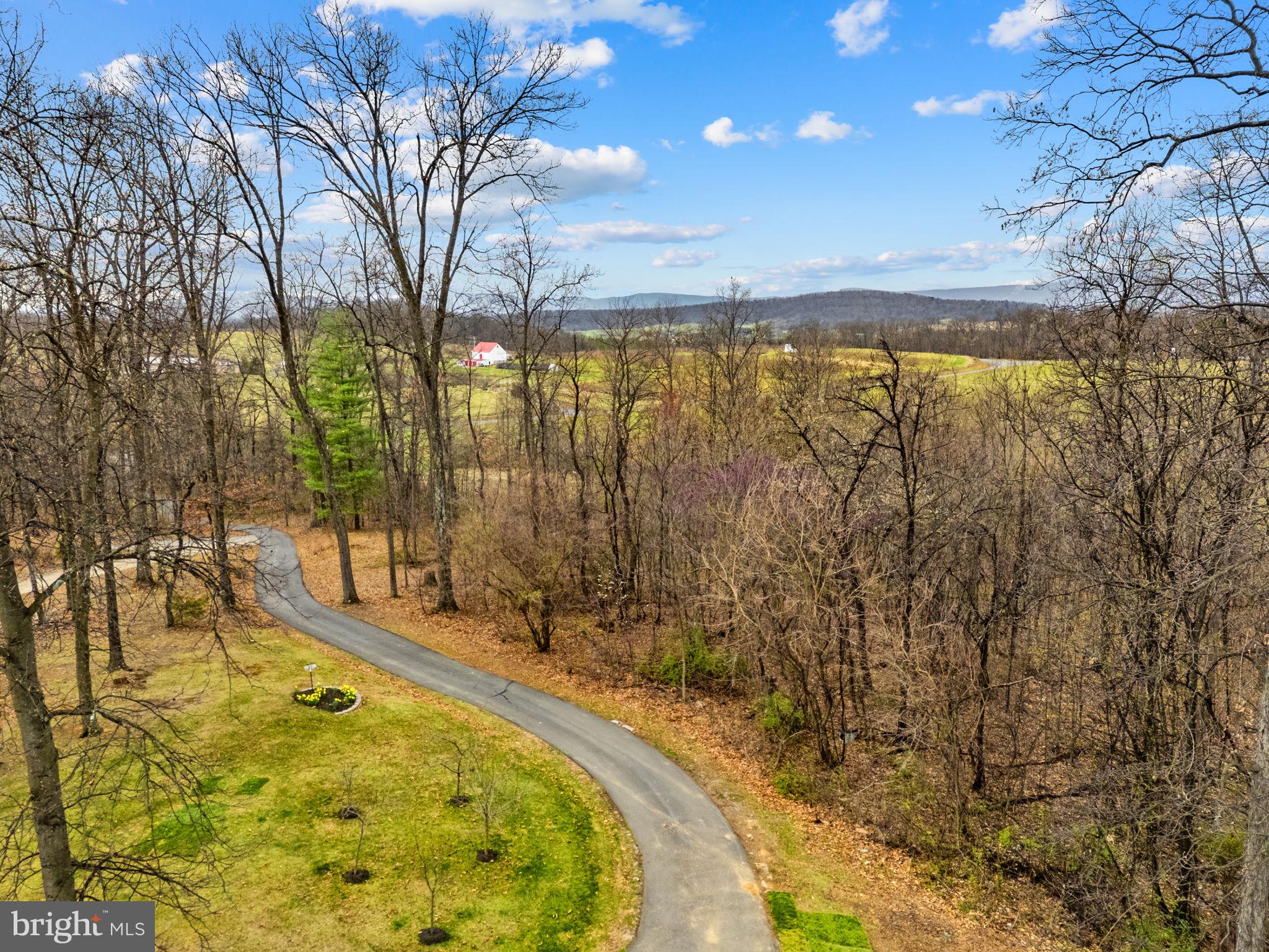530 Laurel Grove Road Winchester, VA 22602 - Photo 101 of 109 Long driveway provides privacy from the street