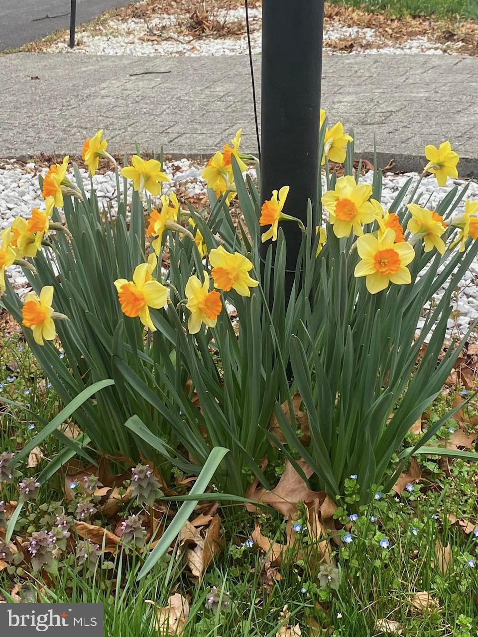 530 Laurel Grove Road Winchester, VA 22602 - Photo 107 of 109