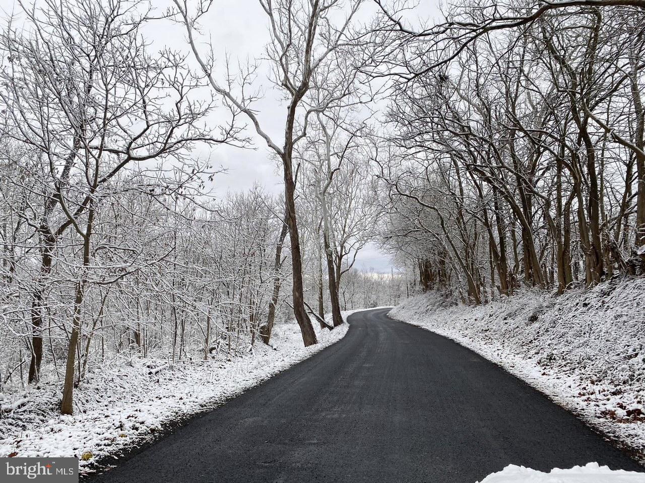 530 Laurel Grove Road Winchester, VA 22602 - Photo 109 of 109 Peaceful winter wonderland