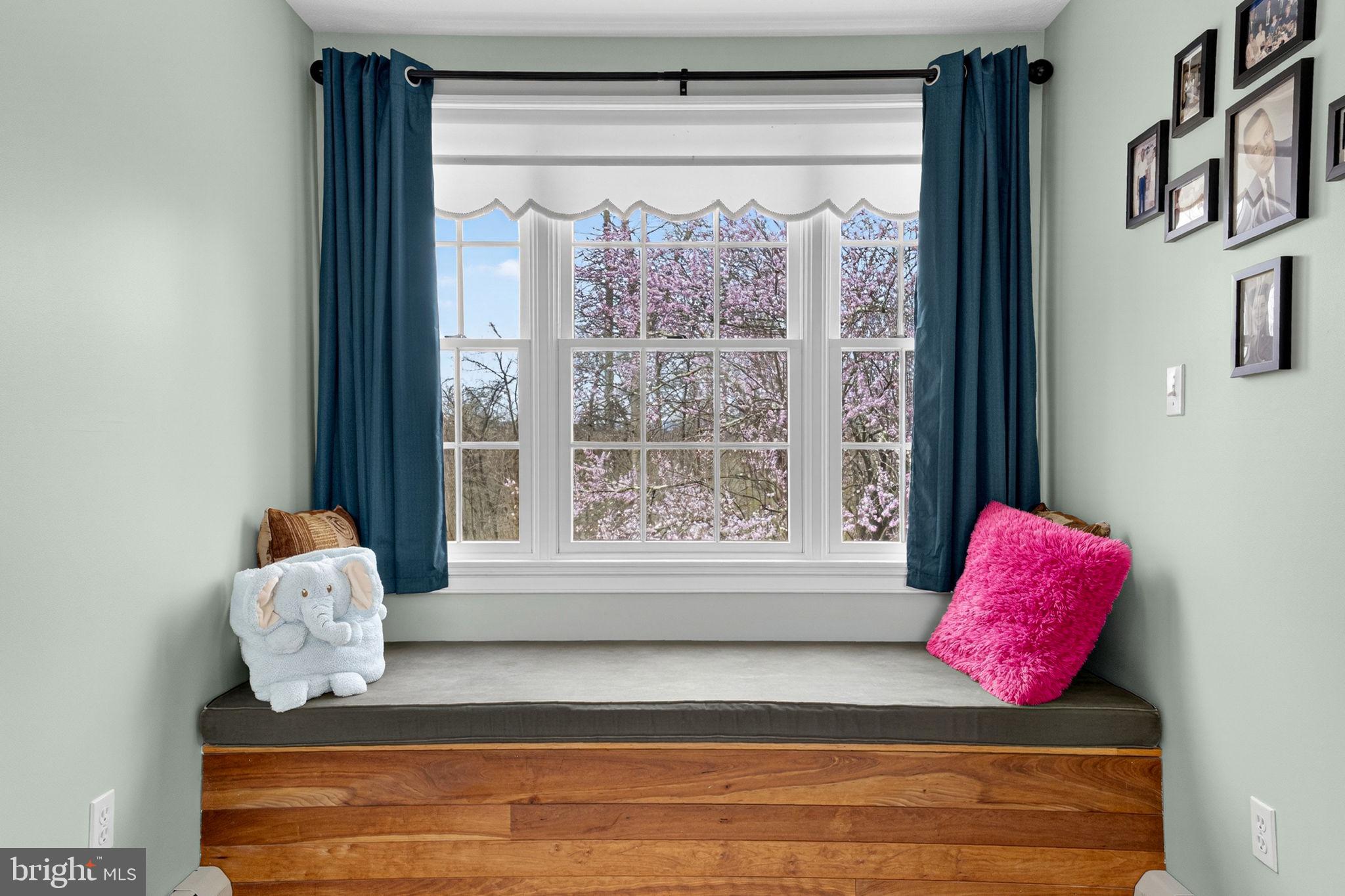 530 Laurel Grove Road Winchester, VA 22602 - Photo 38 of 109 Window seat/reading nook