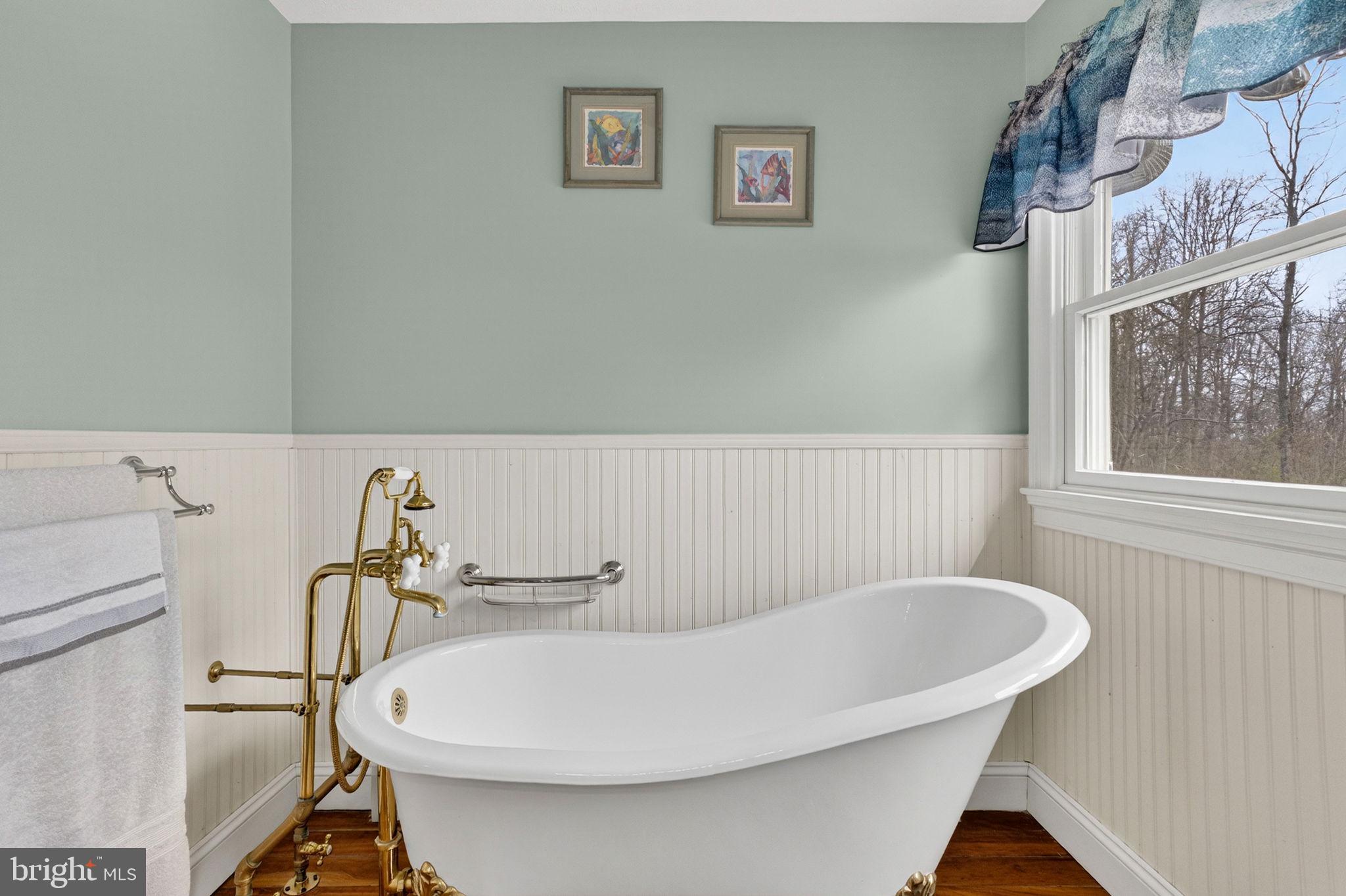 530 Laurel Grove Road Winchester, VA 22602 - Photo 41 of 109 Clawfoot soaking tub