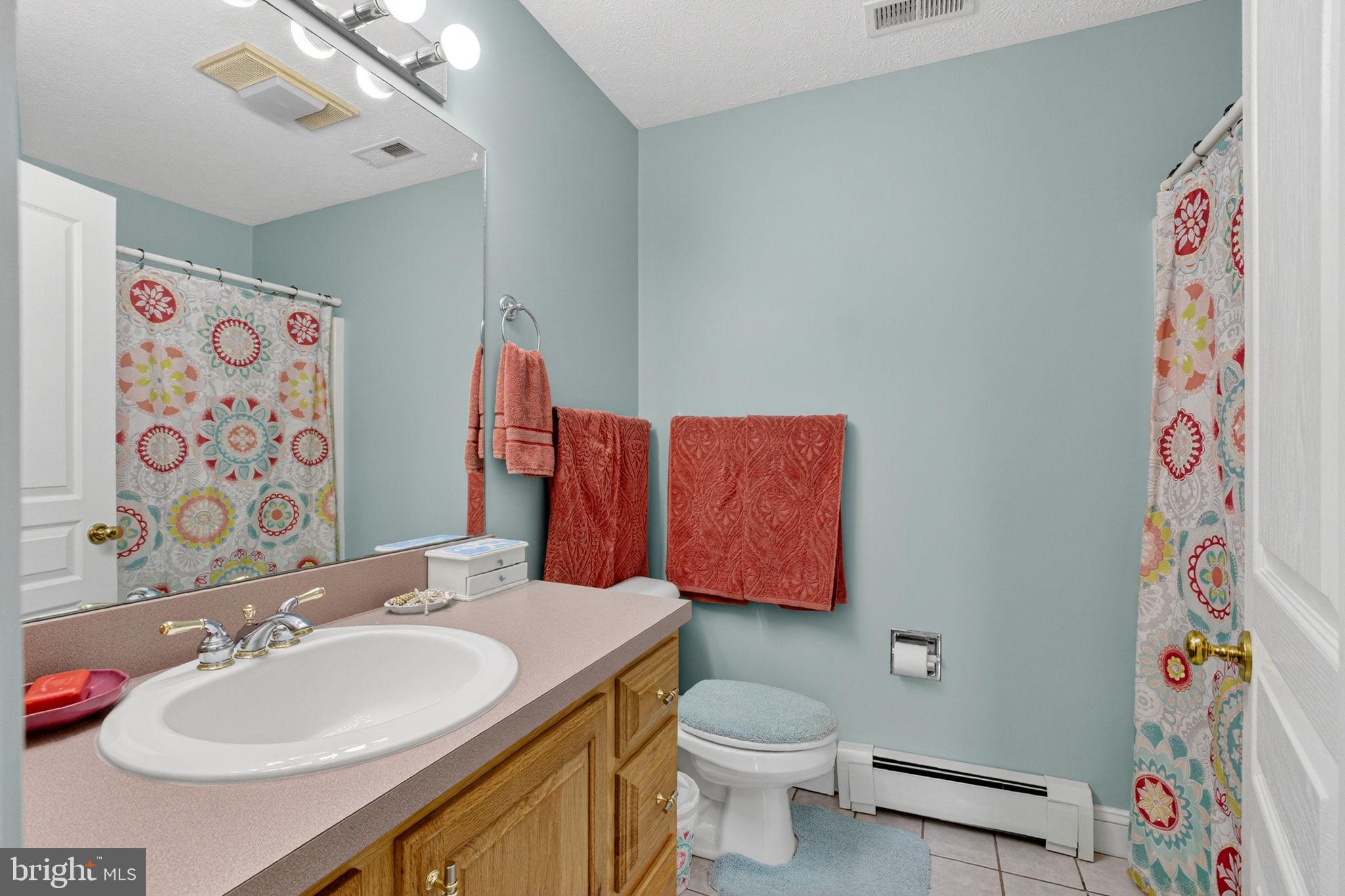 530 Laurel Grove Road Winchester, VA 22602 - Photo 46 of 109 Second full bath on upper level