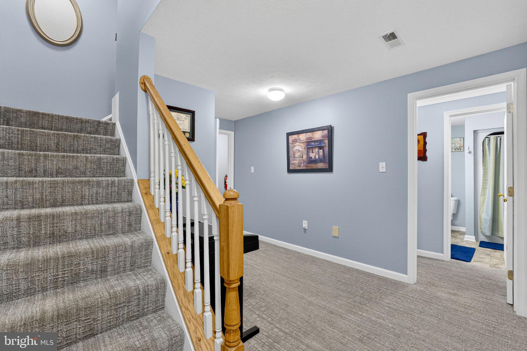 530 Laurel Grove Road Winchester, VA 22602 - Photo 53 of 109 Finished lower level