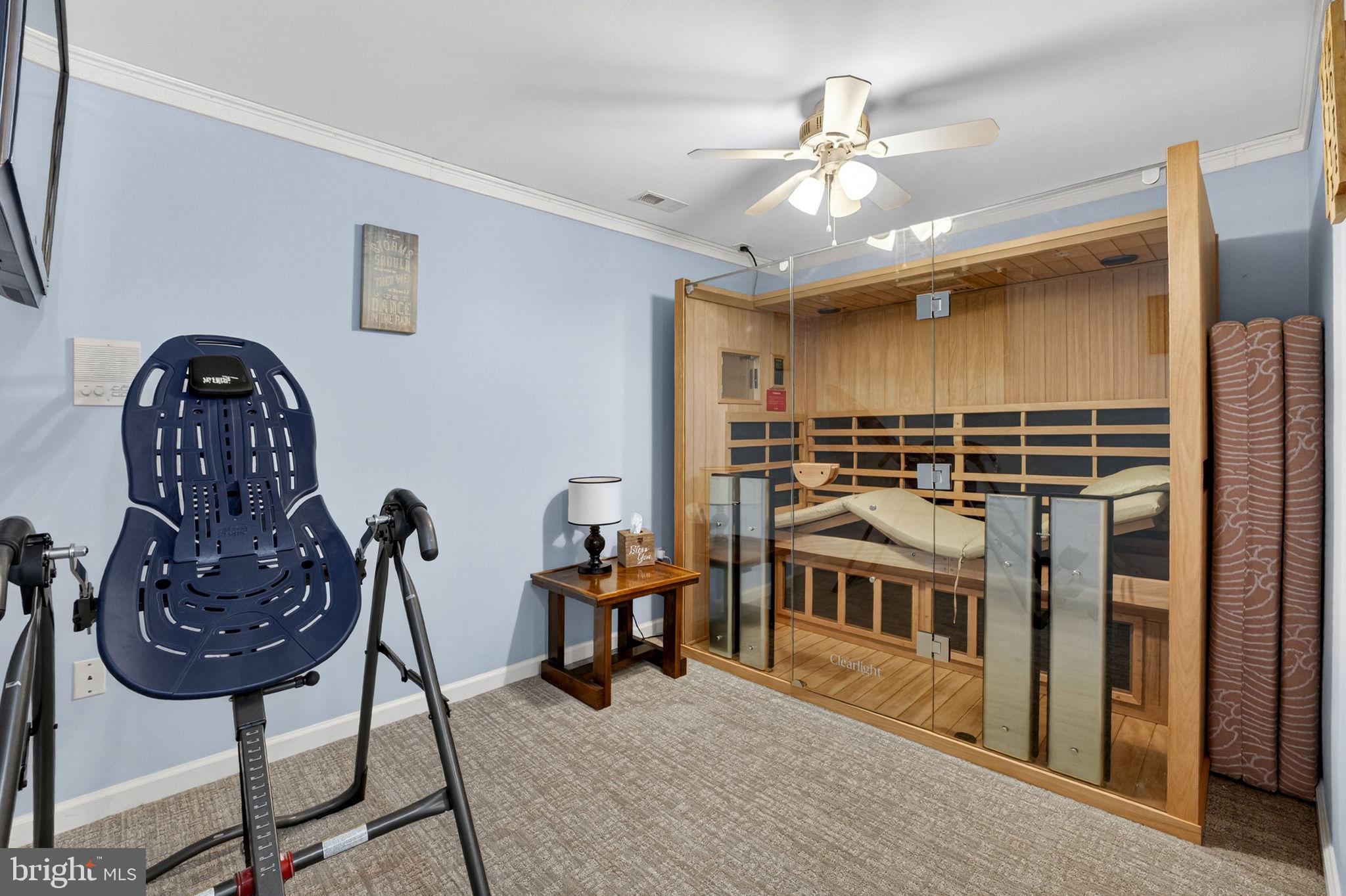530 Laurel Grove Road Winchester, VA 22602 - Photo 55 of 109 Clearlight infrared sauna
