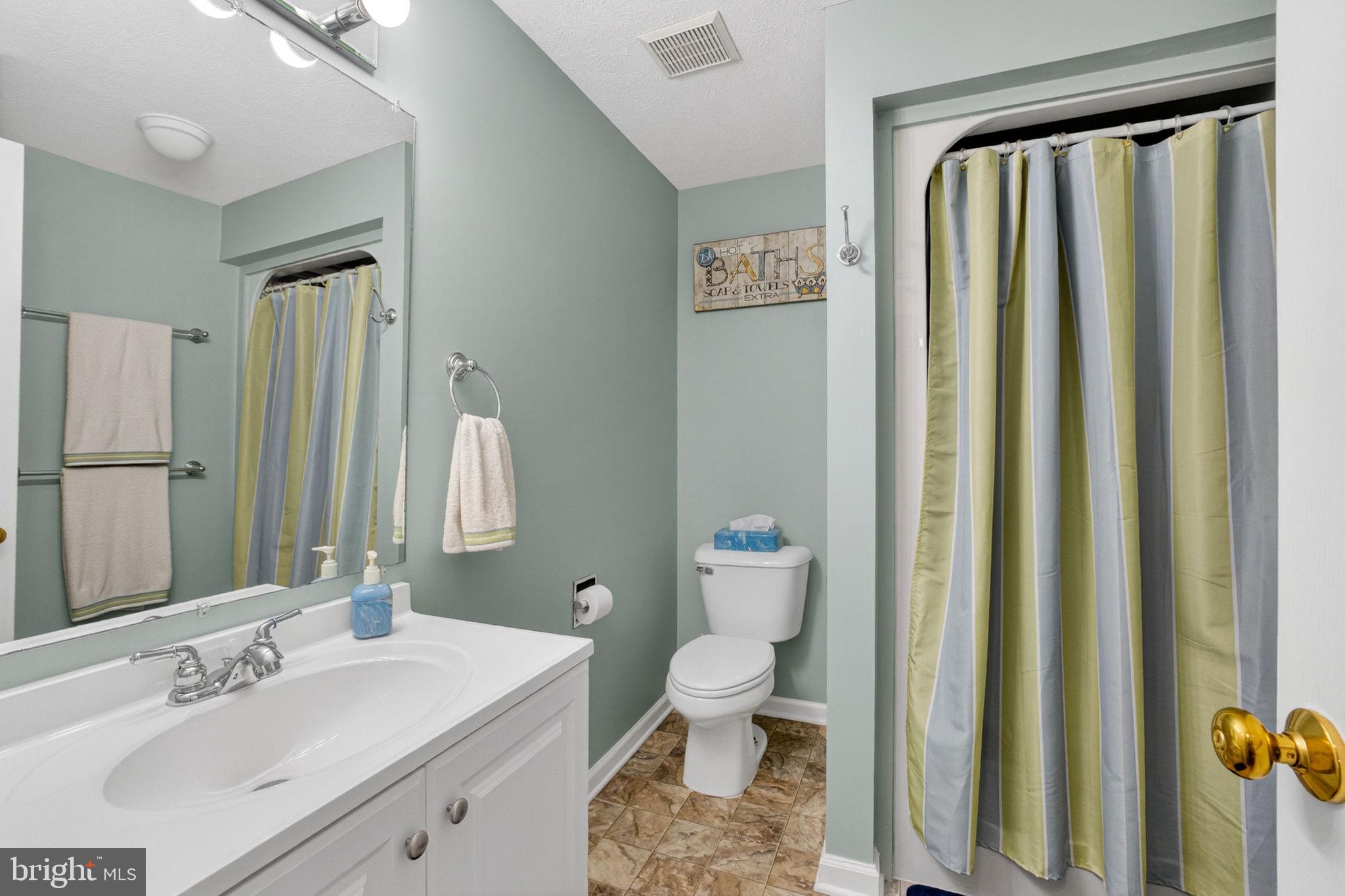 530 Laurel Grove Road Winchester, VA 22602 - Photo 58 of 109 Full bath on lower level