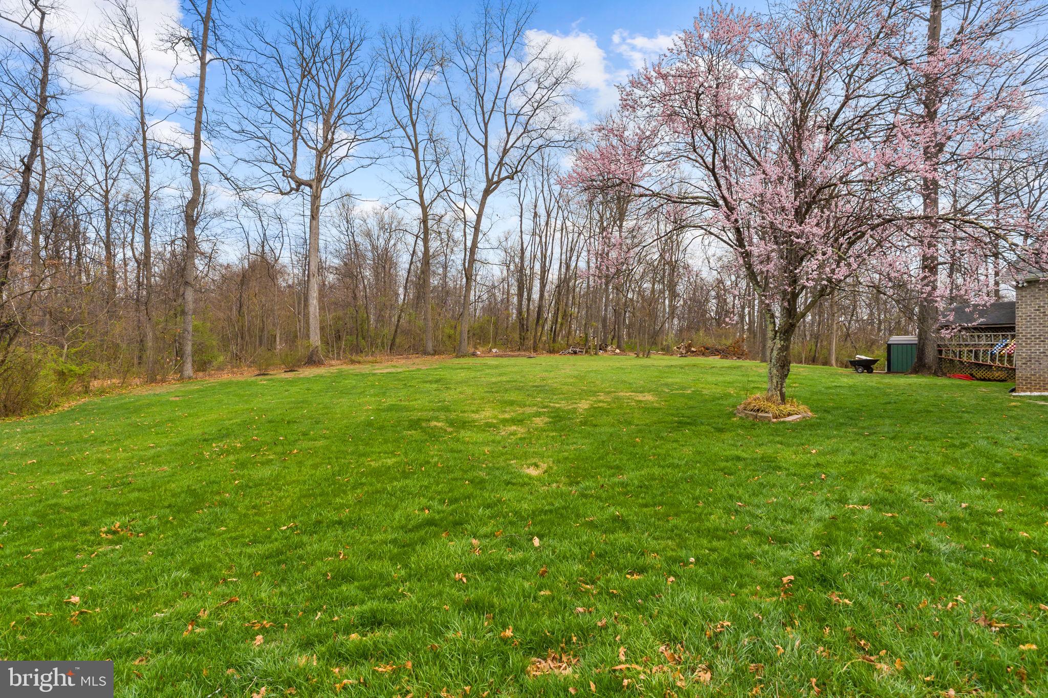 530 Laurel Grove Road Winchester, VA 22602 - Photo 95 of 109 Flat yard