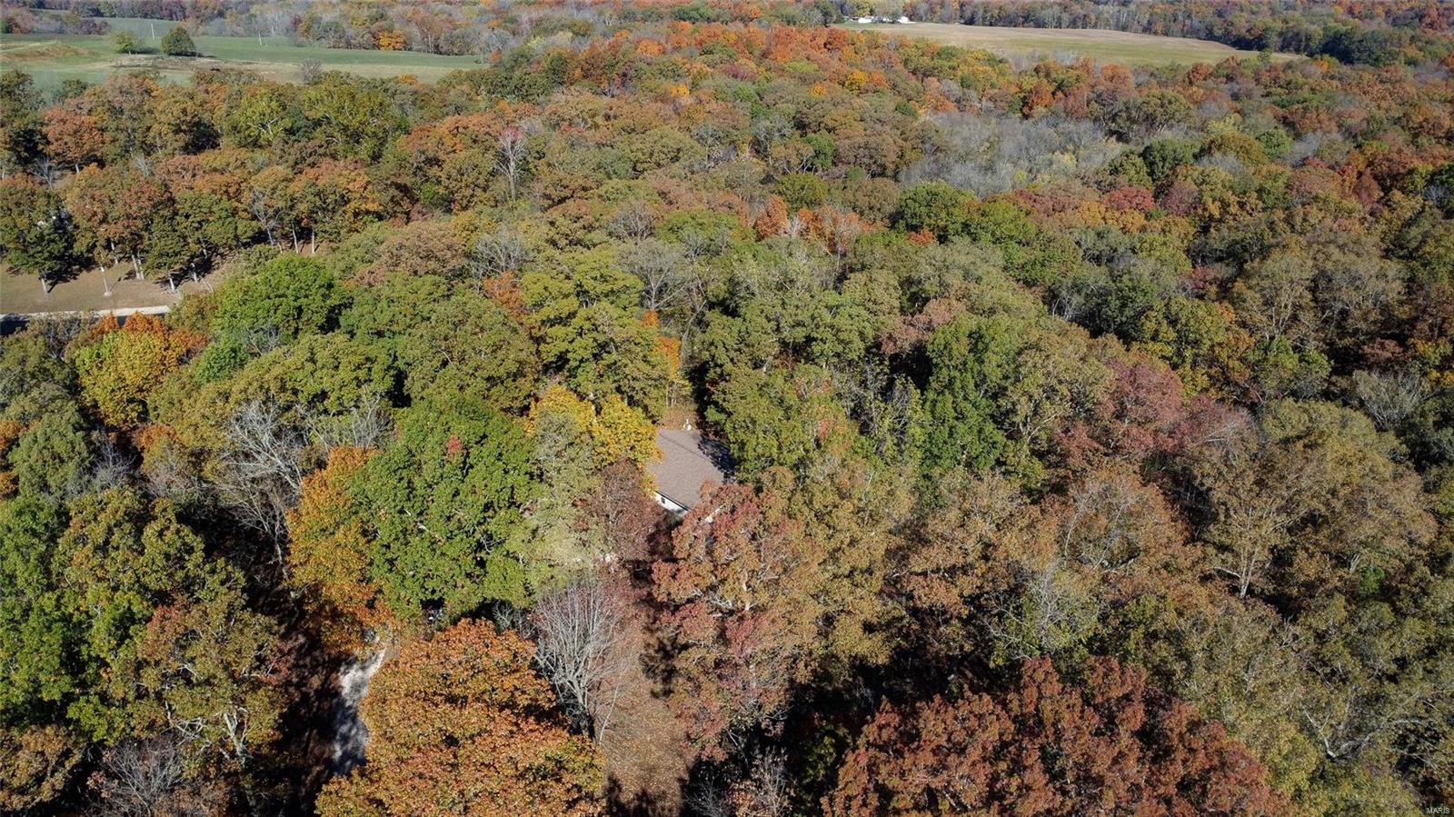 5873 Mm Road Fults, IL 62244 - Photo 54 of 64
