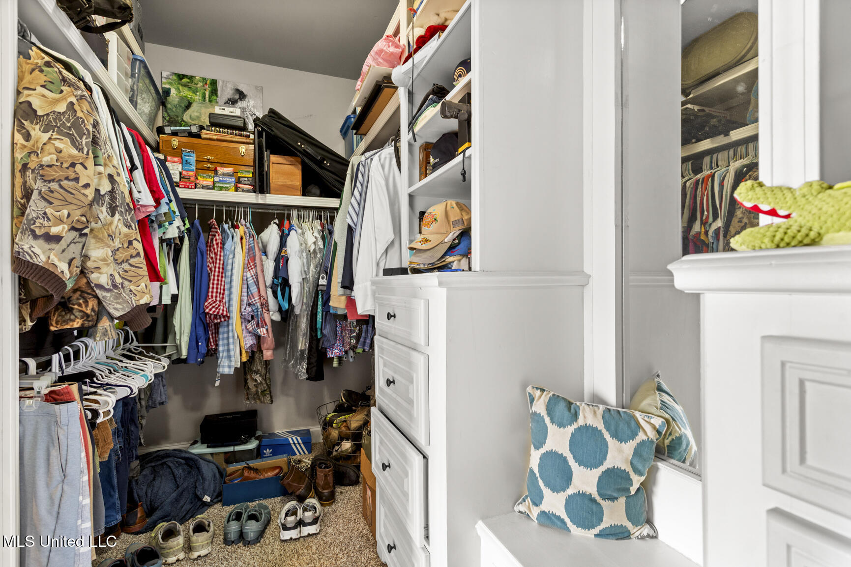 401 Emerald Trail Brandon, MS 39047 - Photo 22 of 29 401 Emerald Trail-23