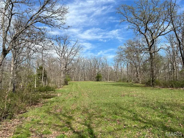 $319,900 | 24755 Mayapple Lane, Lebanon, MO 65536