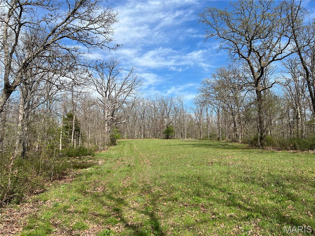 24755 Mayapple Lane Lebanon, MO 65536 - Photo 1 of 38