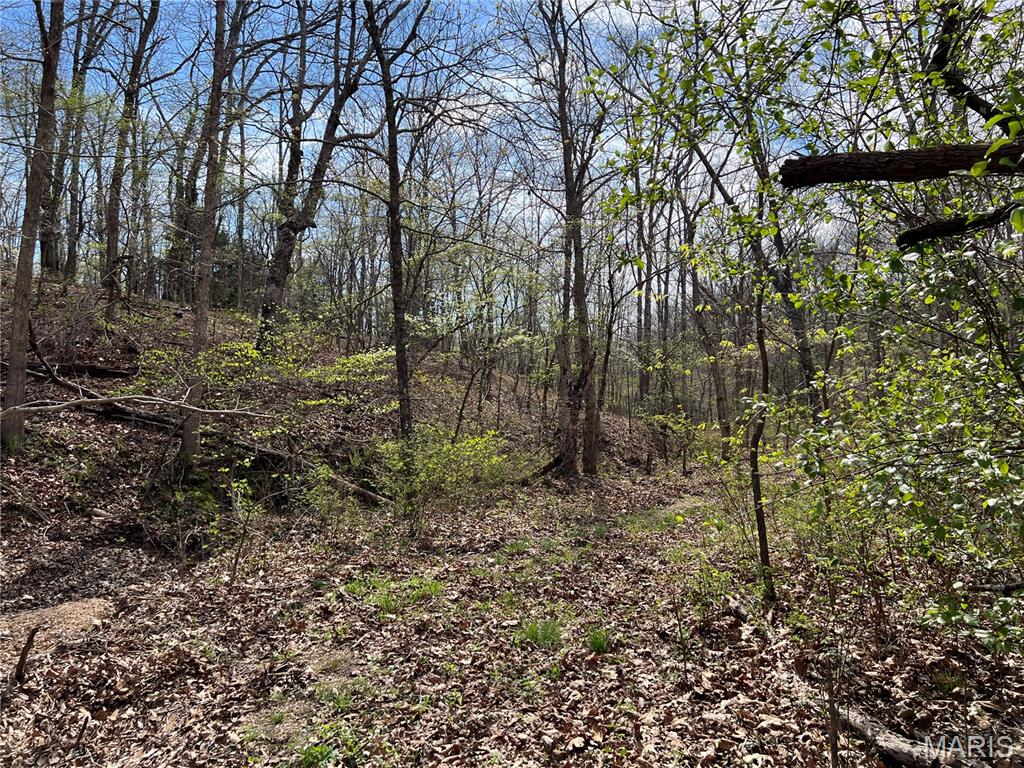 24755 Mayapple Lane Lebanon, MO 65536 - Photo 11 of 38
