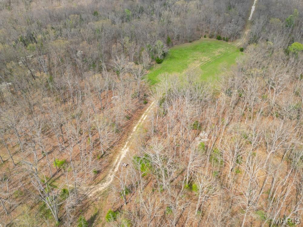 24755 Mayapple Lane Lebanon, MO 65536 - Photo 15 of 38