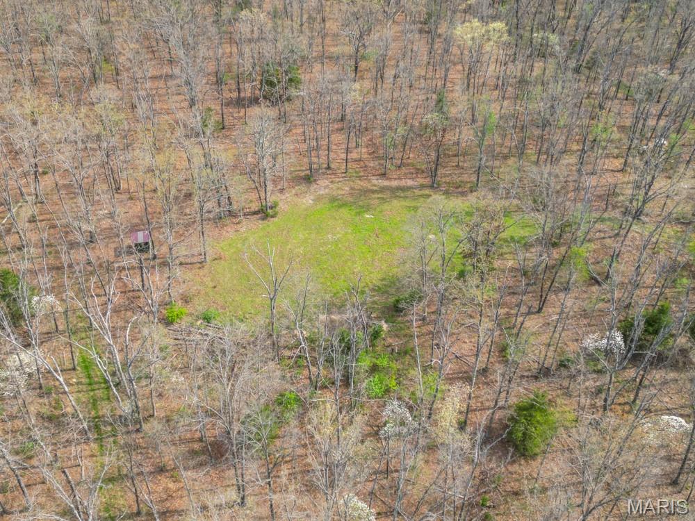 24755 Mayapple Lane Lebanon, MO 65536 - Photo 16 of 38