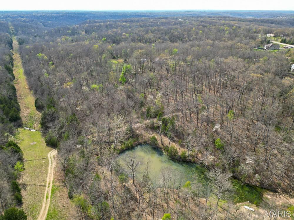 24755 Mayapple Lane Lebanon, MO 65536 - Photo 18 of 38