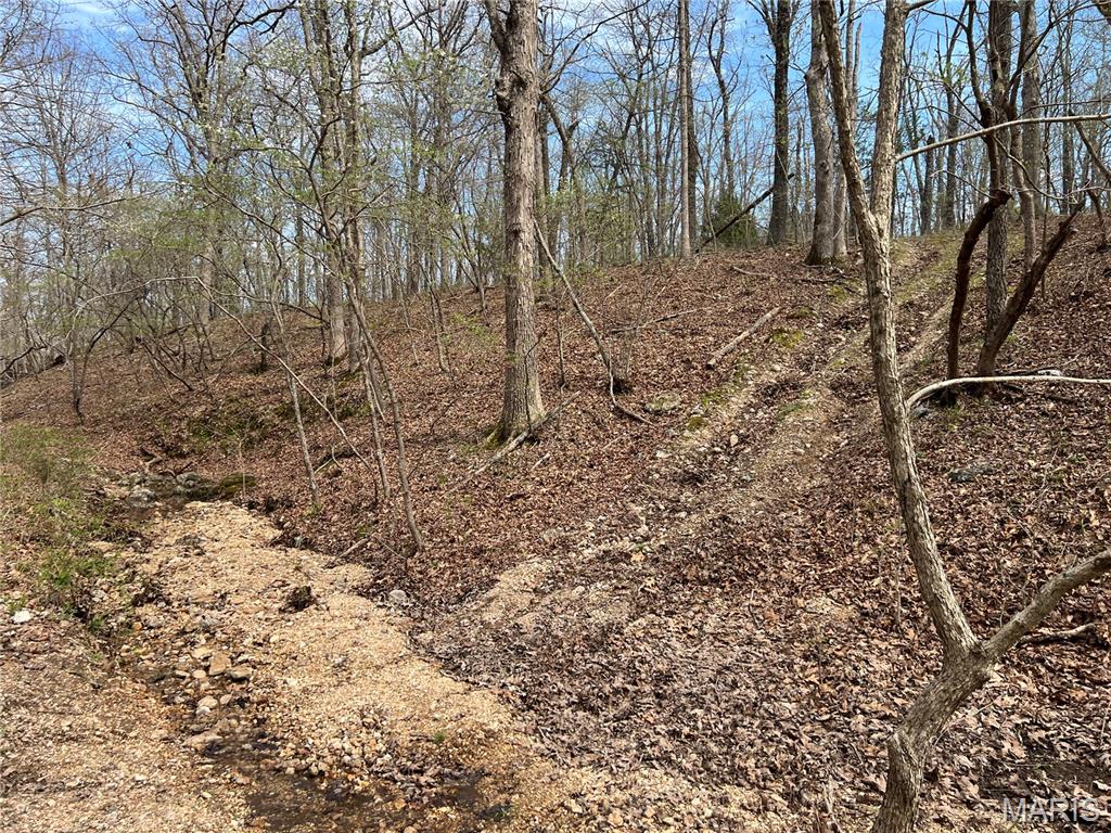 24755 Mayapple Lane Lebanon, MO 65536 - Photo 26 of 38