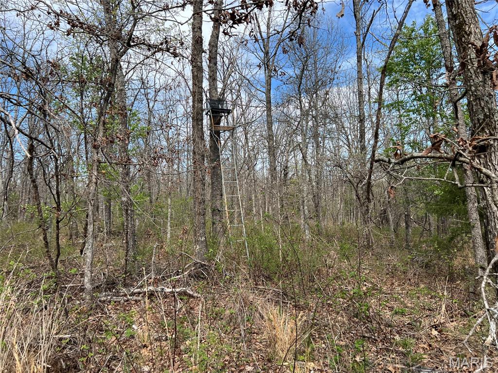 24755 Mayapple Lane Lebanon, MO 65536 - Photo 27 of 38