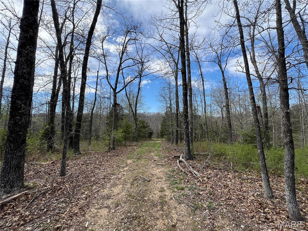 24755 Mayapple Lane Lebanon, MO 65536 - Photo 28 of 38