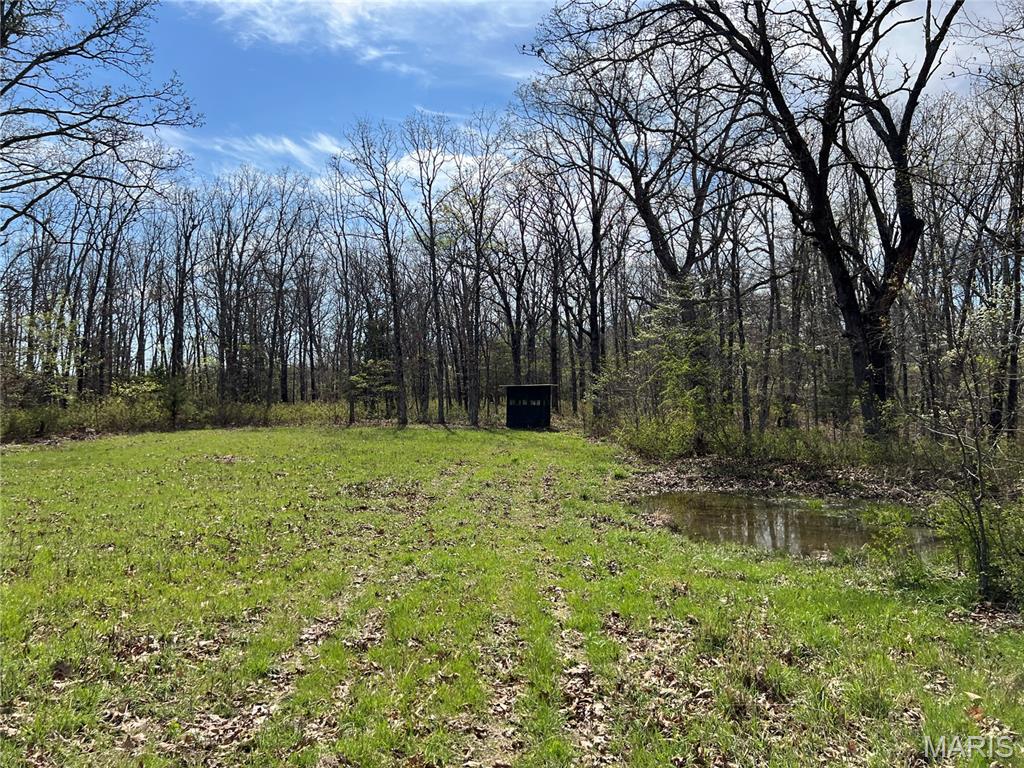 24755 Mayapple Lane Lebanon, MO 65536 - Photo 3 of 38