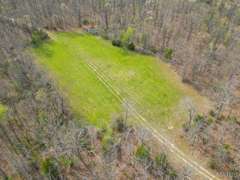 24755 Mayapple Lane Lebanon, MO 65536 - Photo 5 of 38
