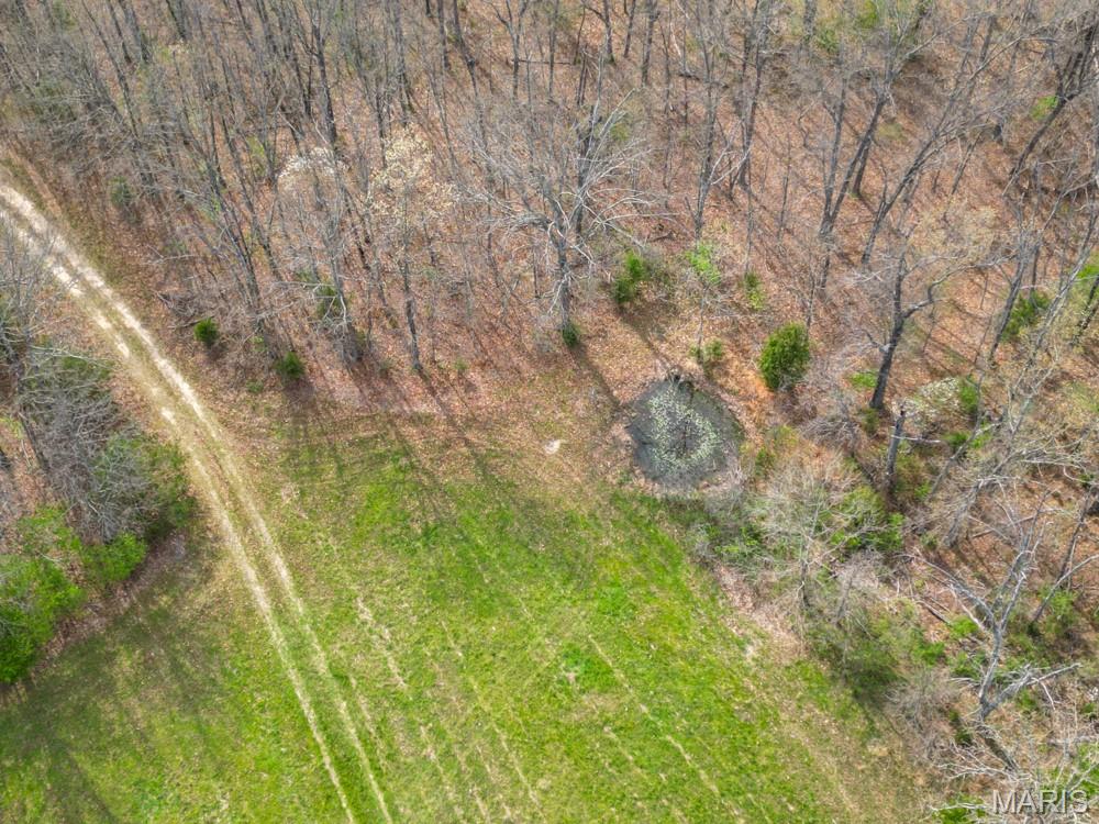 24755 Mayapple Lane Lebanon, MO 65536 - Photo 10 of 38