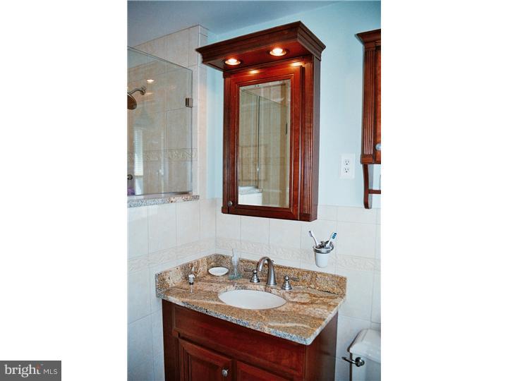 1833 Sharon Road Jenkintown, PA 19046 - Photo 9 of 25 Master Bathroom