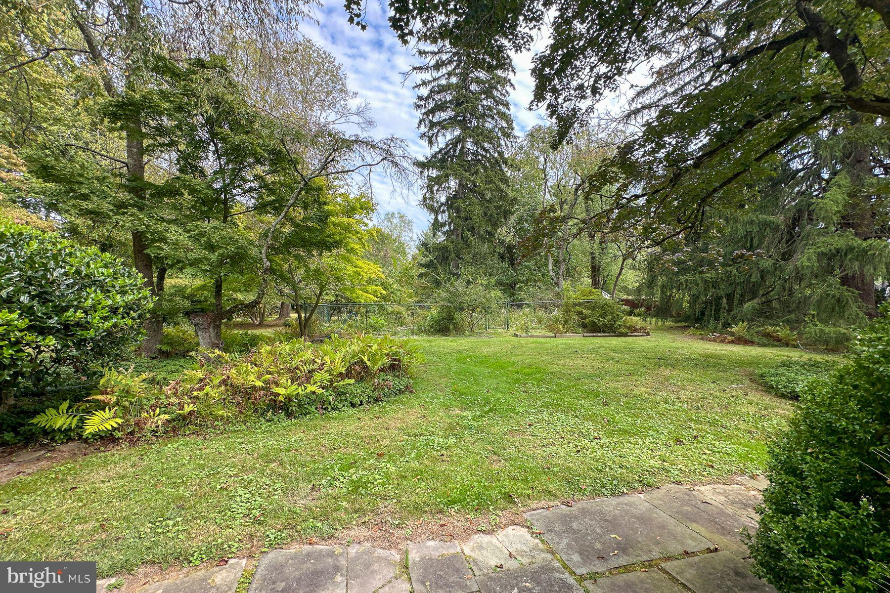 158 Carter Road Princeton, NJ 08540 - Photo 18 of 29 a view of a yard with a tree