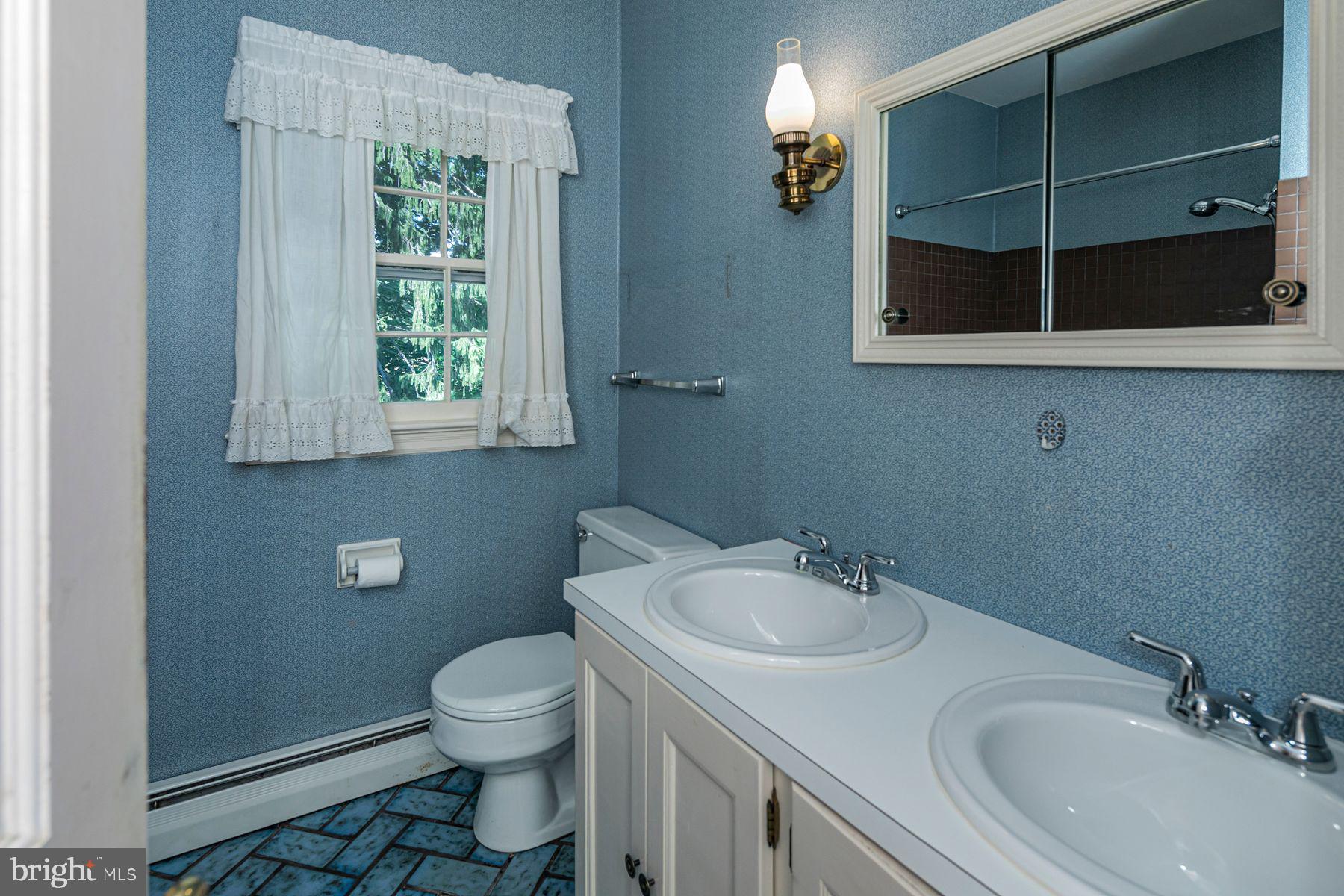 158 Carter Road Princeton, NJ 08540 - Photo 25 of 29 a bathroom with a sink toilet and a mirror