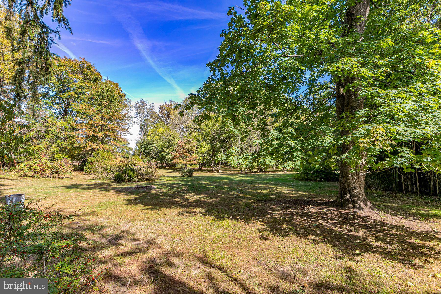 158 Carter Road Princeton, NJ 08540 - Photo 28 of 29 a view of a yard with an tree