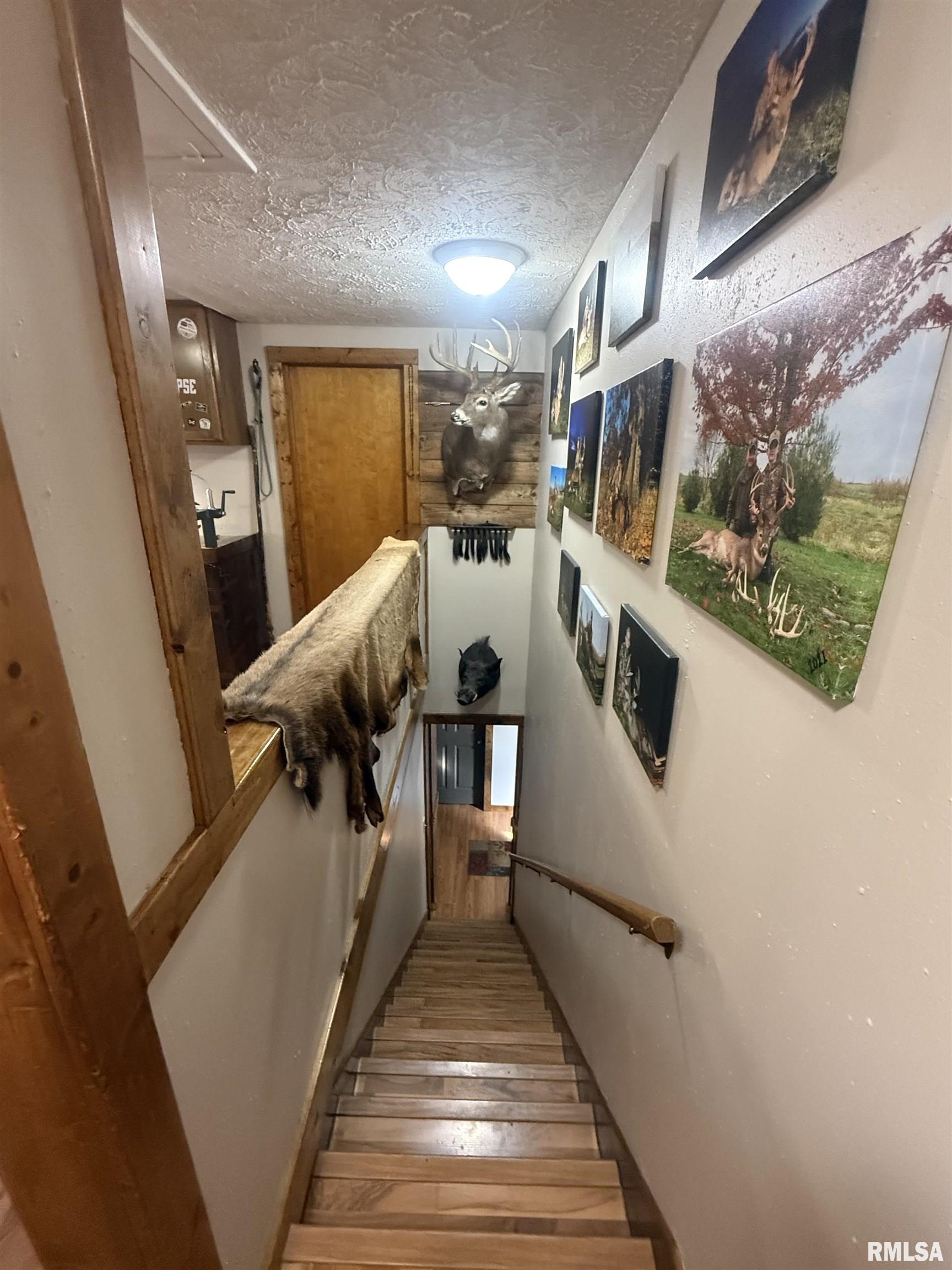 505 North 950th Road Tennessee, IL 62374 - Photo 37 of 57