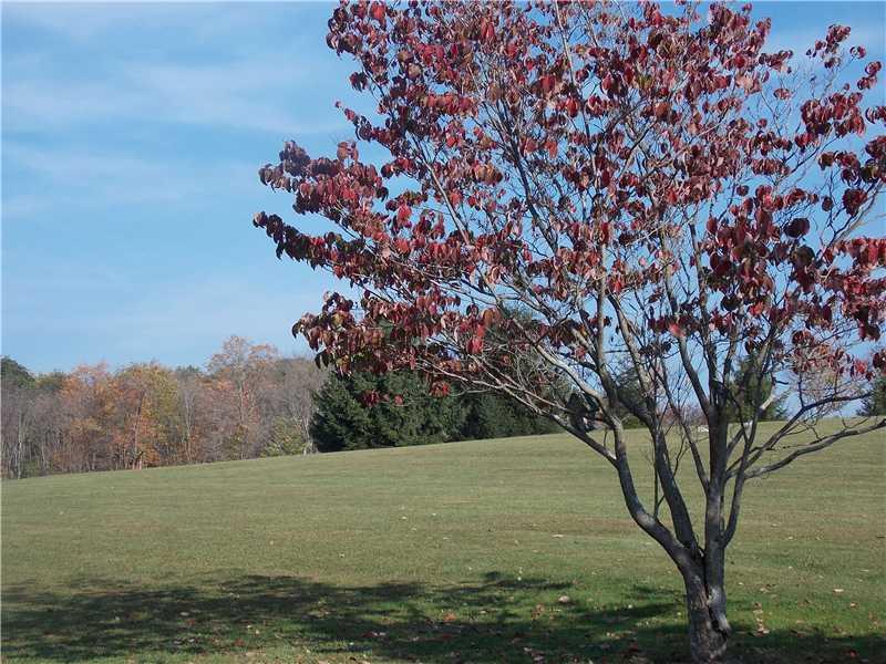 662 Darlington Road Ligonier, PA 15658 - Photo 22 of 25 Land.