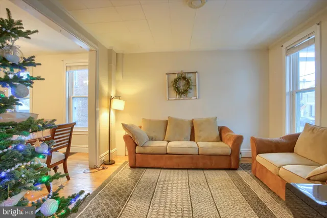 a living room with furniture and a potted plant