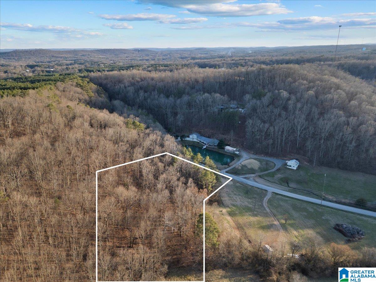 0 Rocky Hollow Road, Unit 3 00 Guntersville, AL 35976 - Photo 2 of 23