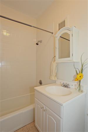 93 Walnut Street, Unit 3 Brookline, MA 02445 - Photo 7 of 26 Gallery Image 7