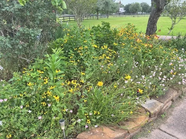 $989,000 | 6610 Sprigg Street, Fulshear, TX 77441