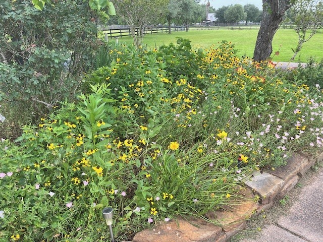 6610 Sprigg Street Fulshear, TX 77441 - Photo 38 of 41 a backyard of a house with a yard and outdoor seating